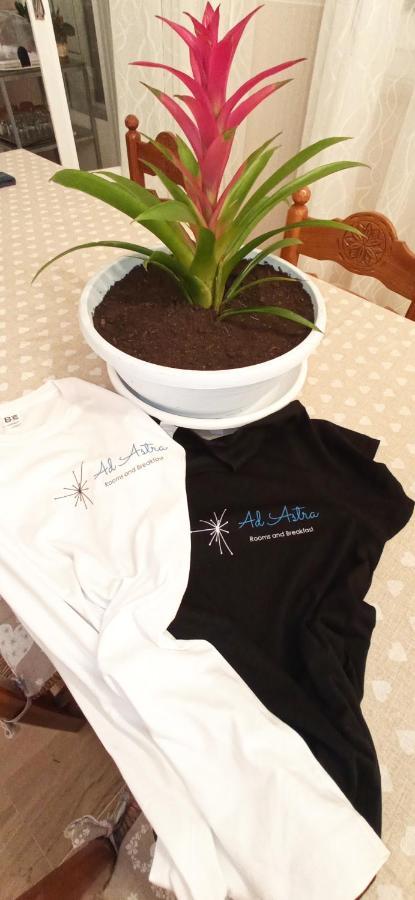 Ad Astra Rooms Ravenna Bagian luar foto